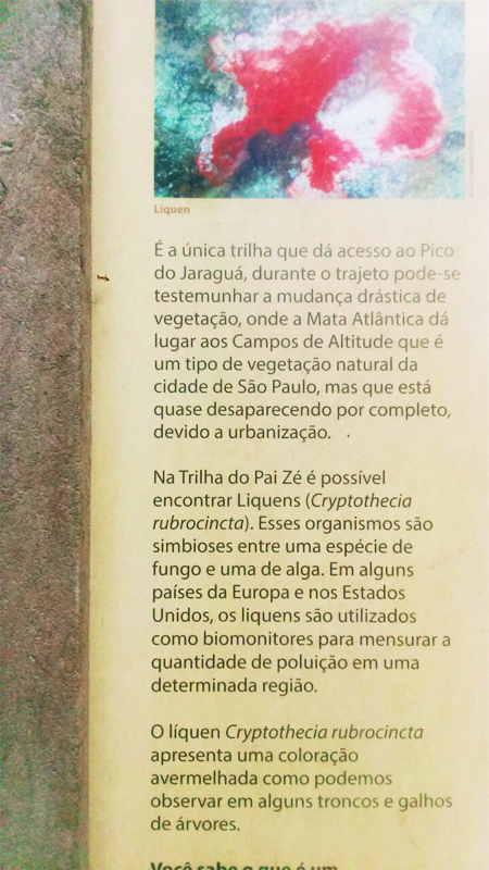 Placa na trilha do Pai Zé. Foto: acervo Natasha Ceretti Placa na trilha do Pai Zé. Foto: acervo Natasha Ceretti