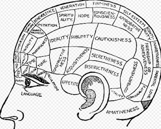 How To Improve Your Memory, Brain Functions