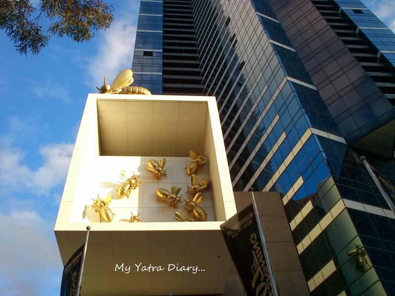 Artistic Bees at the Eureka Sky deck, Melbourne Victoria Australia