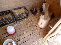 earthbag northern mexico building aly pm