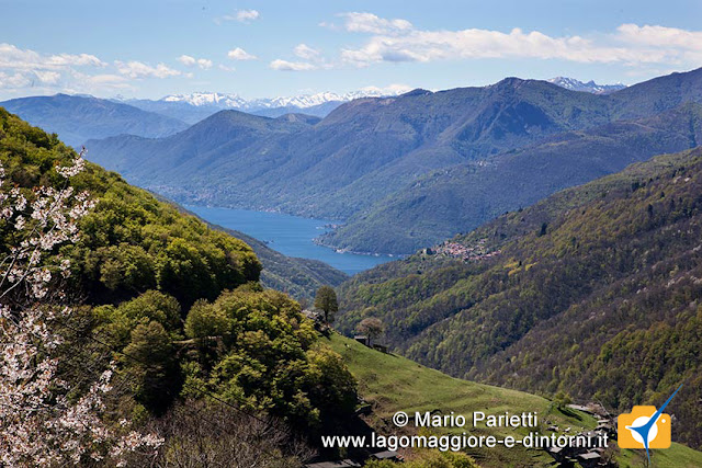Panorama da Monteviasco Panorama da Monteviasco con il lago maggiore