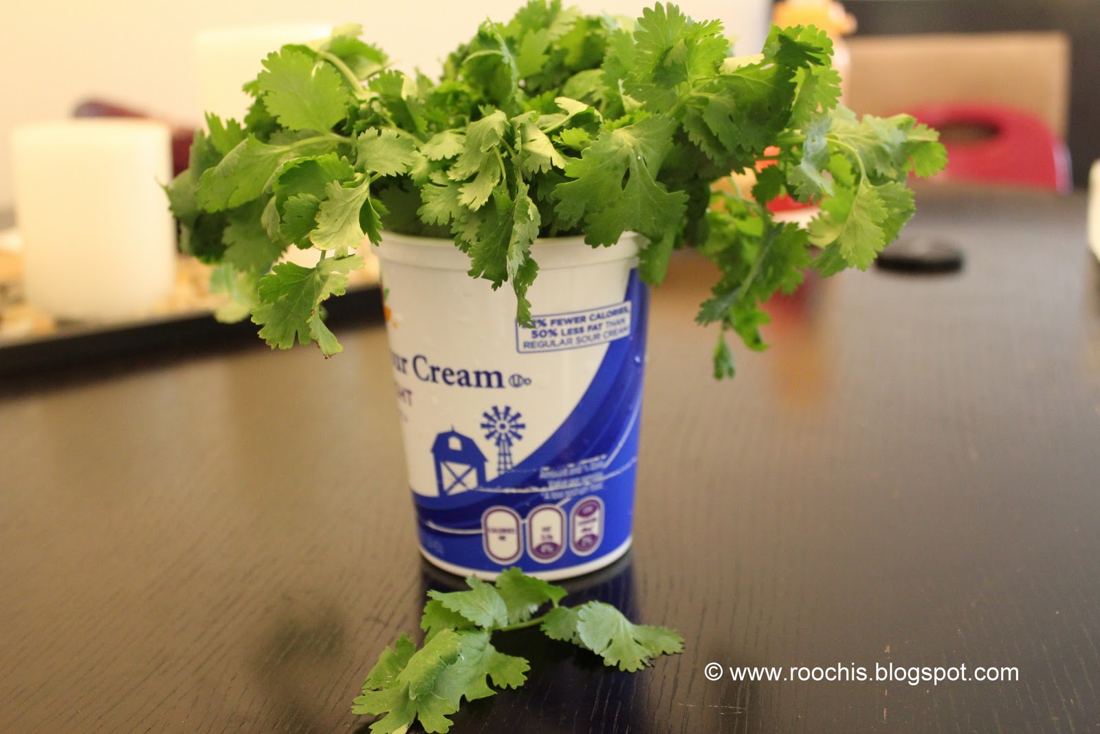 New Batch of Coriander Leaves from Market