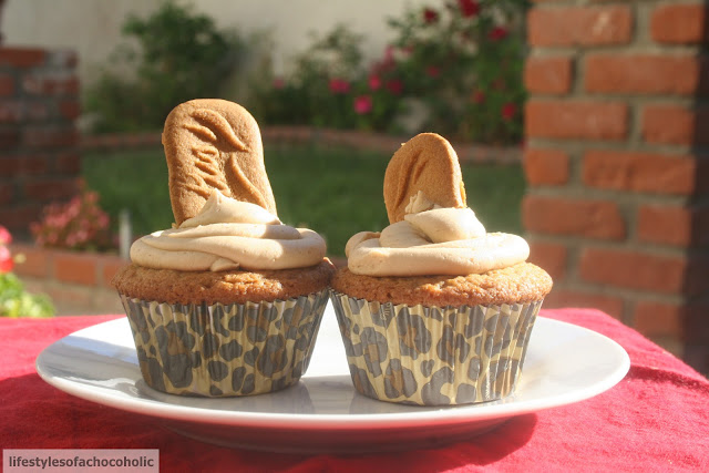 two biscoff cupcakes in leopard cupcake liners on a white plate on a red surface