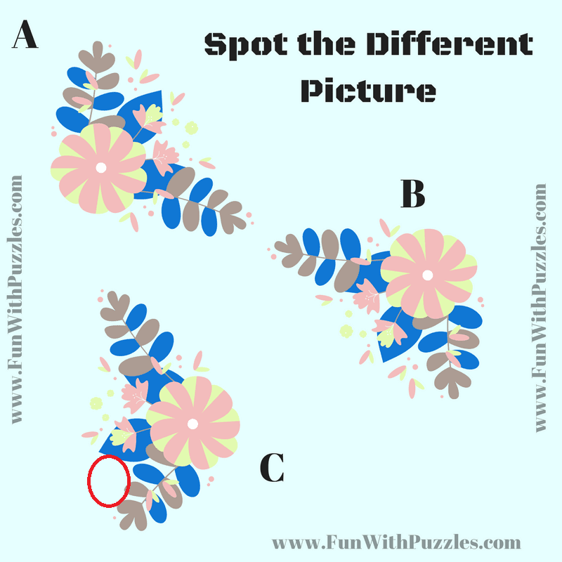 Find the Odd One Out Picture Puzzle with Answer
