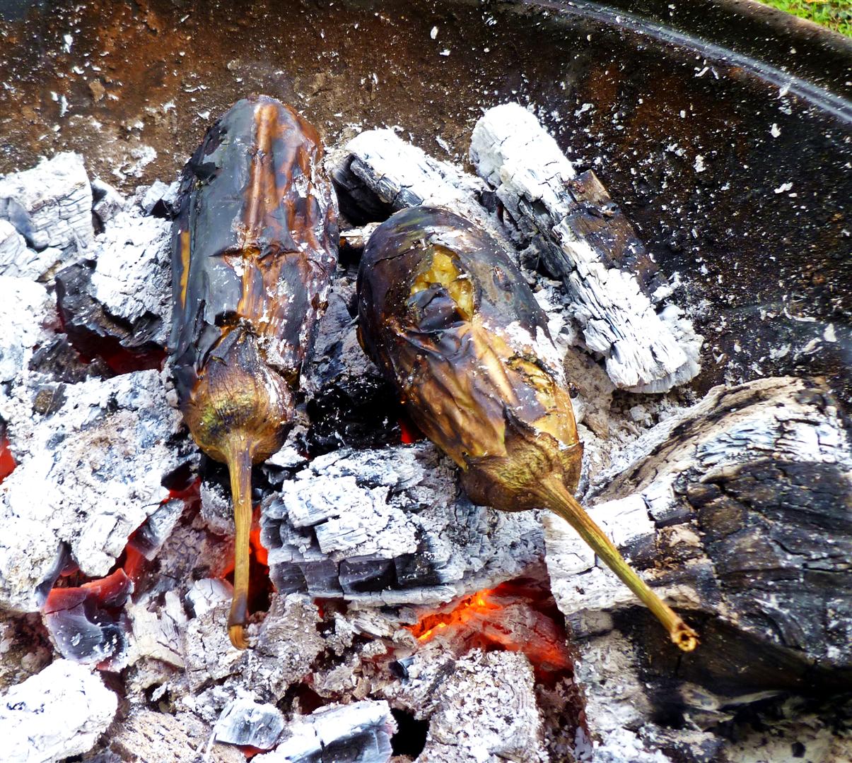 BBQGuam Grilling Eggplant Guam Style