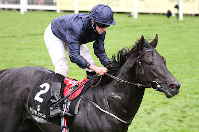Kentucky derby horses 2017 Caravaggio Derby Horse