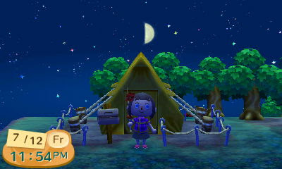 My Little Night Homestay : Nintendo 3DS Animal Crossing New Leaf Unboxing