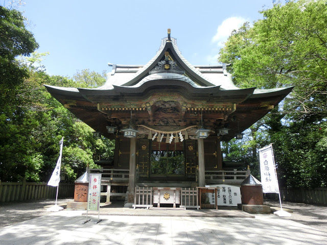 �����_��