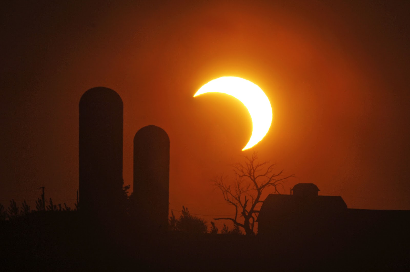 Bailey's Buddy Solar Eclipse, Iowa farm style! Photo by Bob Kelly