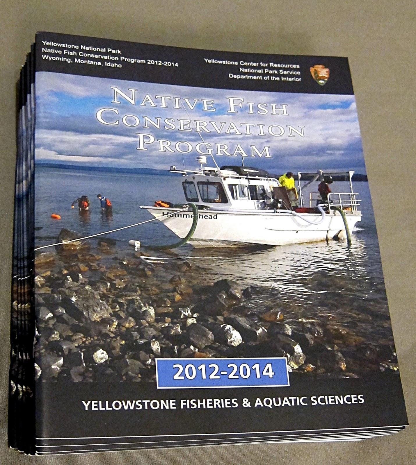 Fly Fishing In Yellowstone National Park The Arrival