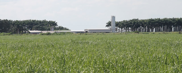 Fincas y campos de cultivo en Lake Harbor Fincas y campos de cultivo en Lake Harbor