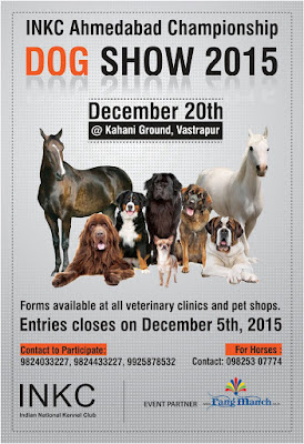 dog and horse show ahmedabad