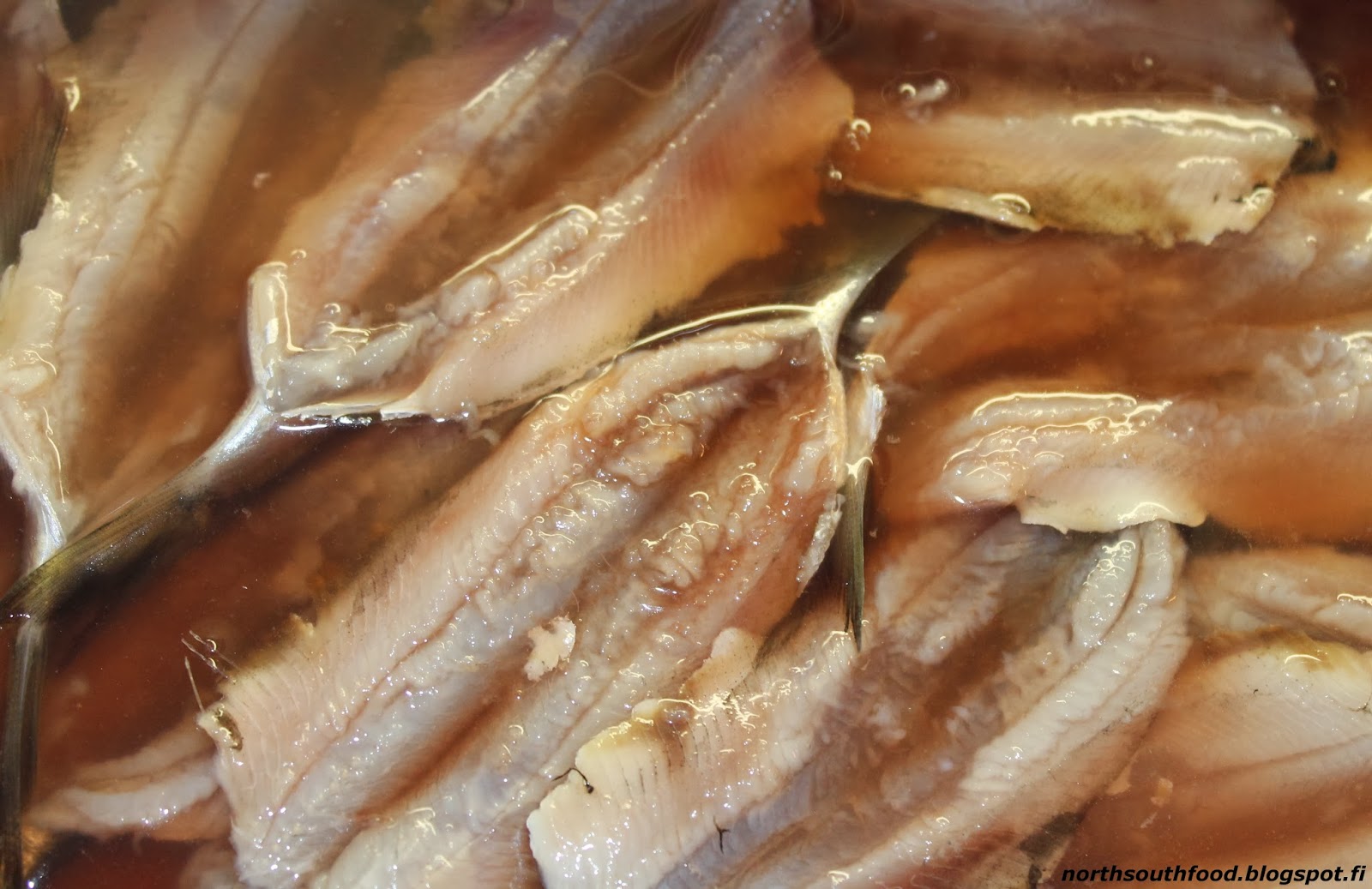 North south food Baltic herring, three ways to make a Finnish