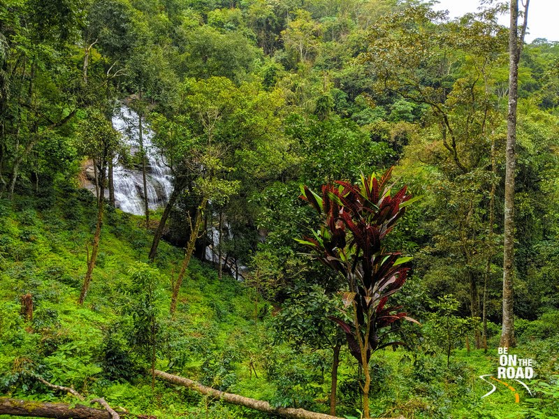 Chingara waterfall surrounded by greenery