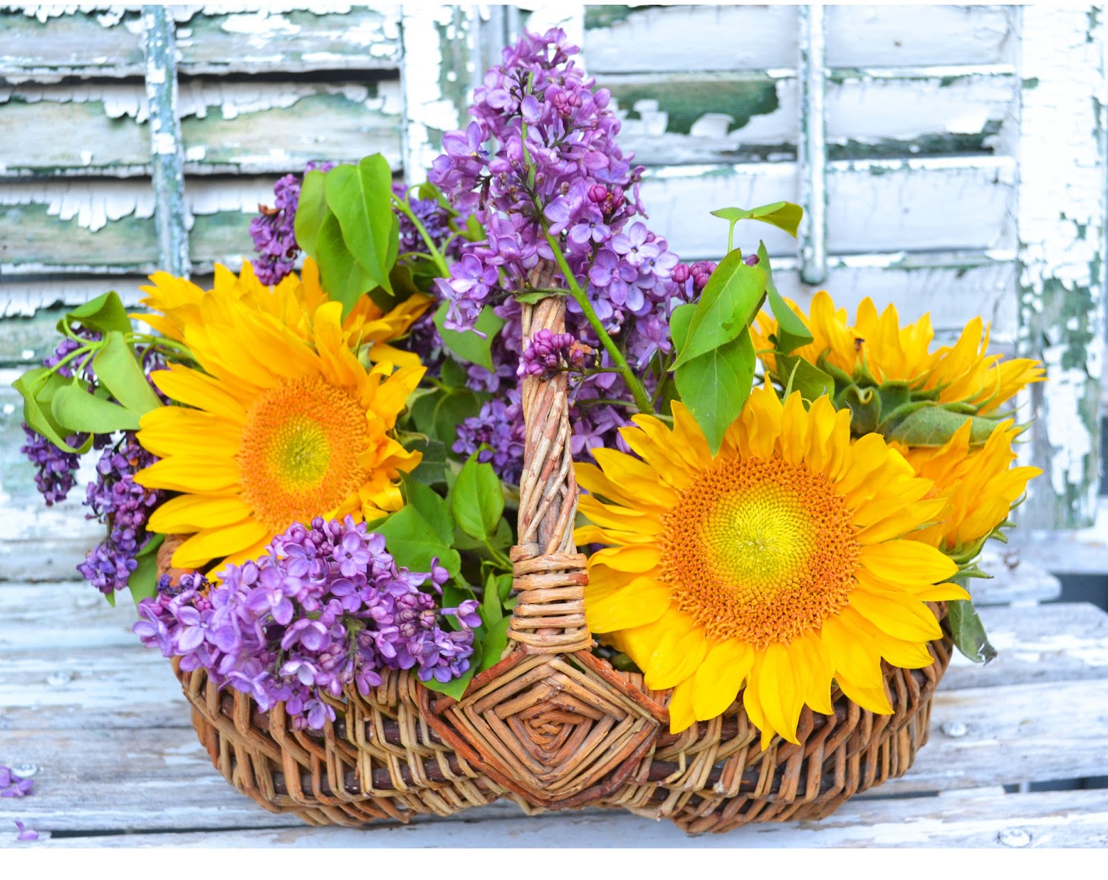 My Painted Garden Painting Lilacs and Sunflowers