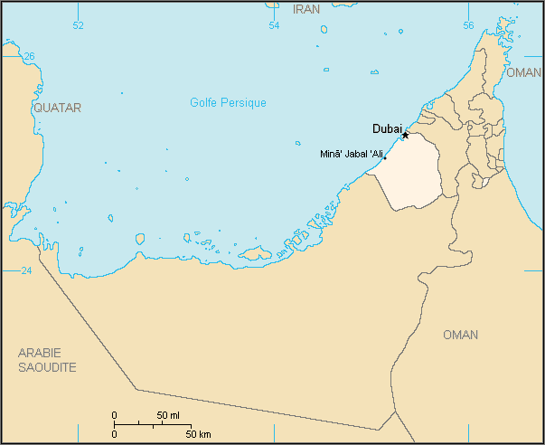 DUBAI LA CIUDAD DEL FUTURO: DUBAI CIUDAD DEL FUTURO