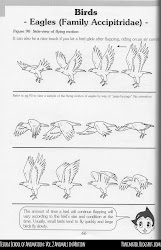 animation tezuka eagle reference panimated cycle walk drawing motion dinosaur vol chicken cycles animals hop