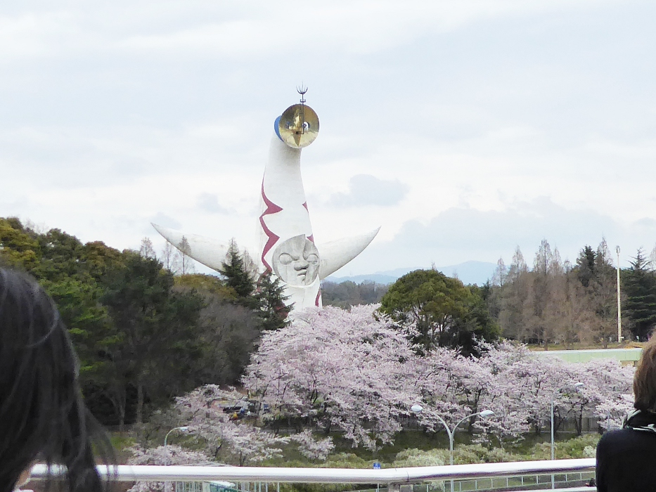 大阪府吹田市 万博記念公園桜まつり 関西のウォーキングスポット ブログ