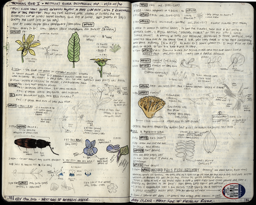 The Journal Diaries Kolby's Hiking Journals / Seaweed Kisses