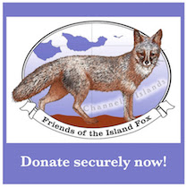 Donate Securely Now!