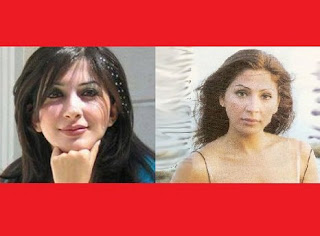 صور شبيهة الفنانة اليسا