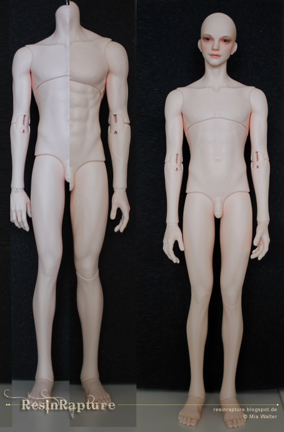 iplehouse body