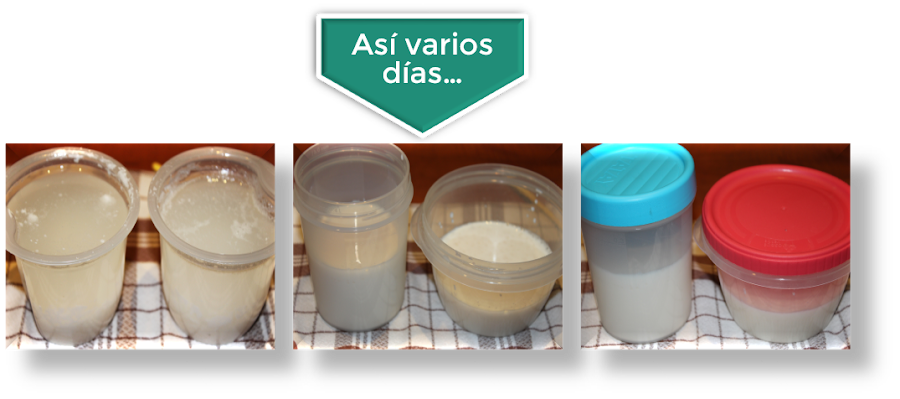 CÓMO ELABORO KÉFIR CASERO DE LECHE {PASO A PASO}