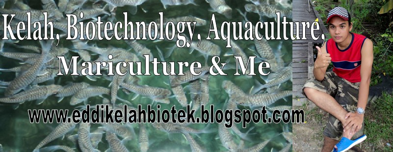 Kelah, Biotechnology, Aquaculture, Mariculture & Me