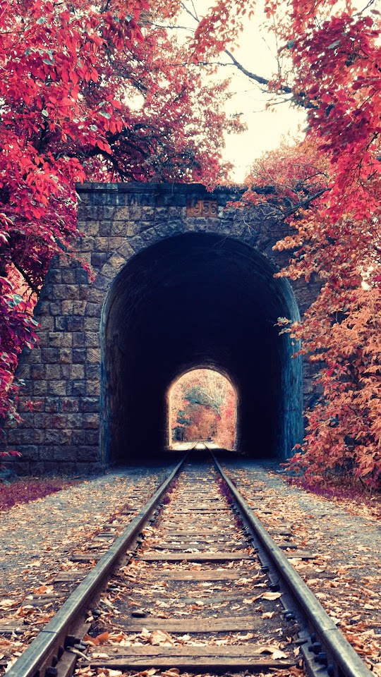 Autumn Train Tunnel Red Leaves  Galaxy Note HD Wallpaper