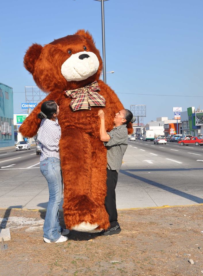 osos de peluche gigantes jumbo