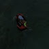 VIDEO - Detalles del pequeño accidente de “El Alfa” en un jet ski en la playa!!! VIDEO - Detalles del pequeño accidente de “El Alfa” en un jet ski en la playa!!!