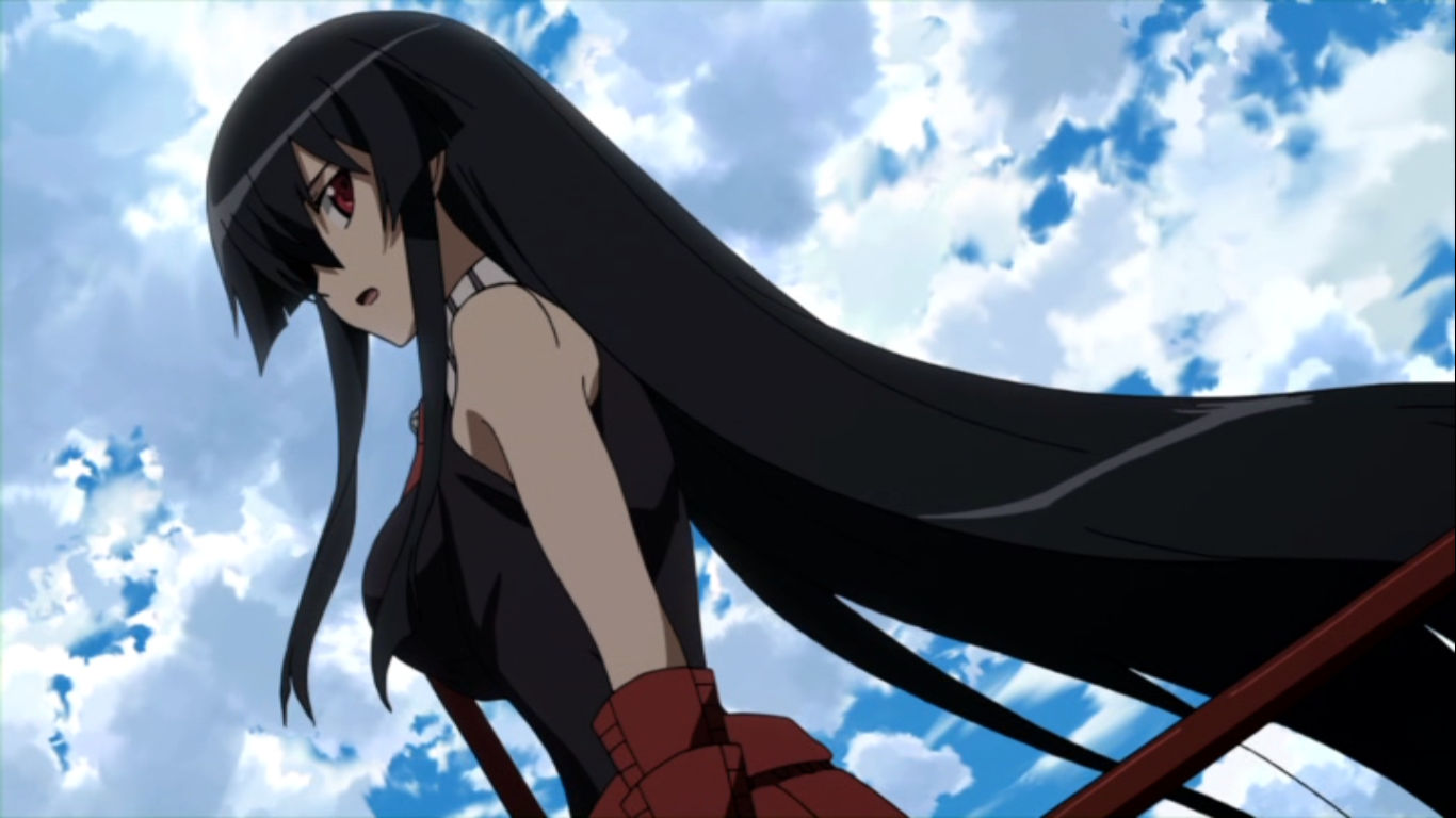 Akame ga kill | Animoe.net reviews