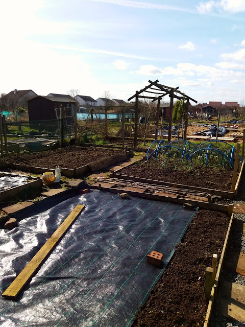 plot 24a plot 24a - Garrie Gault 2018
