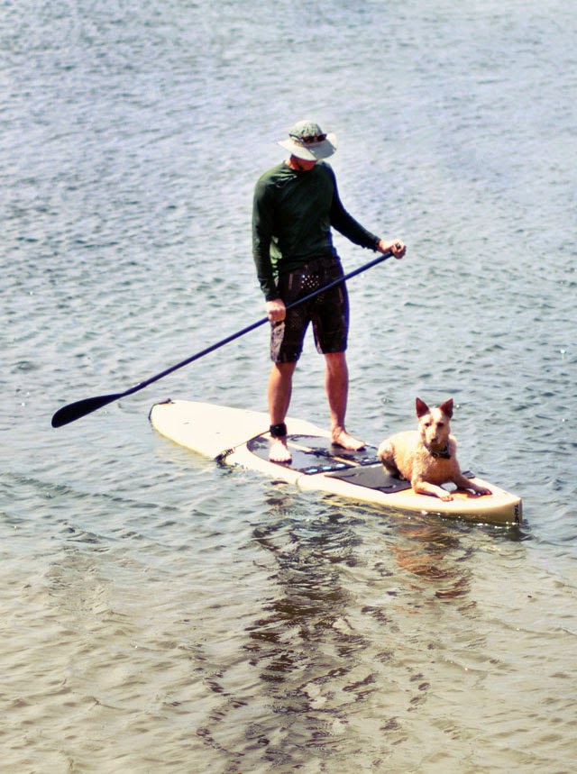 man and dog on paddle board