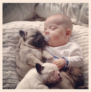 bebe con varios cachorros
