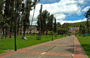 bosque de san carlos