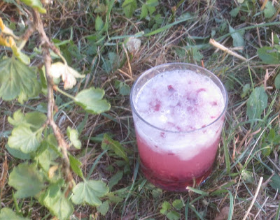 Stachelbeer-Holunderblüten-Gin-Drink