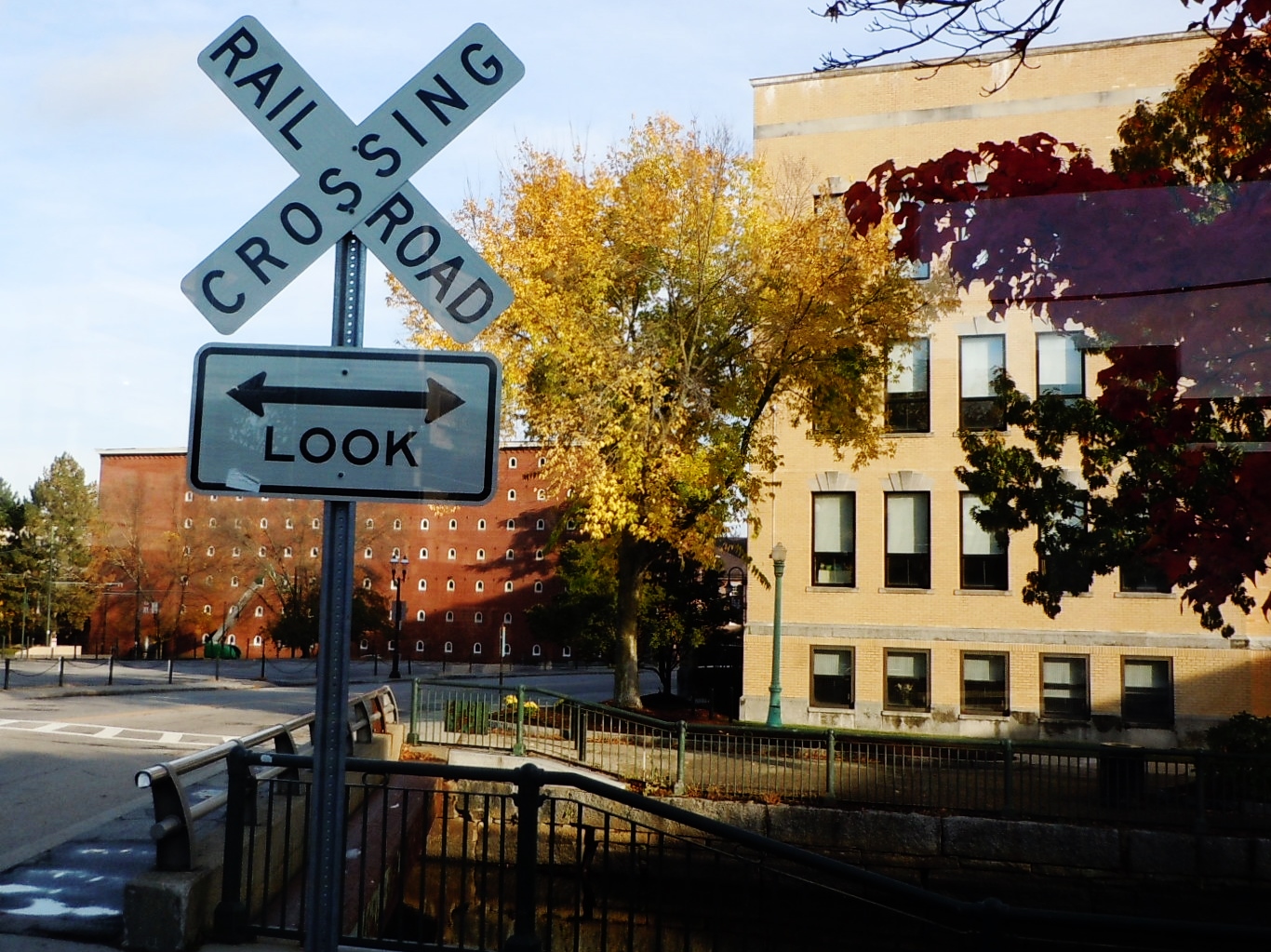 Life From The Roots There Is A Lot to Like About Lowell Lowell High