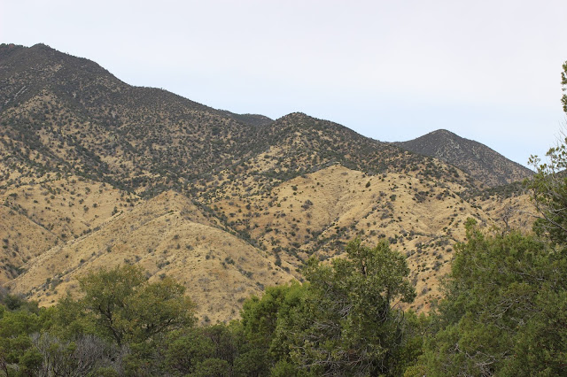 Guided%2BCoues%2BDeer%2BHunts%2Bin%2BSonora%2BMexico%2Bwith%2BJay%2BScott%2Band%2BDarr%2BColburn%2BDIY%2Band%2BFully%2BOutfitted%2B27.JPG