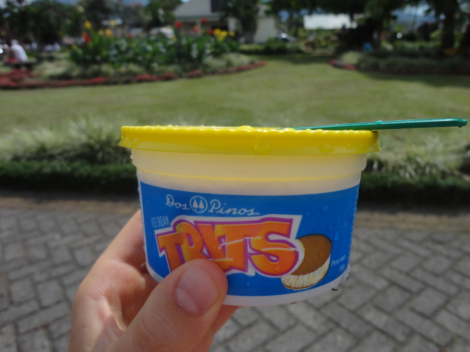 Costa Rica Kisa Beautiful, Clear, and Warm days in Fortuna at the Park