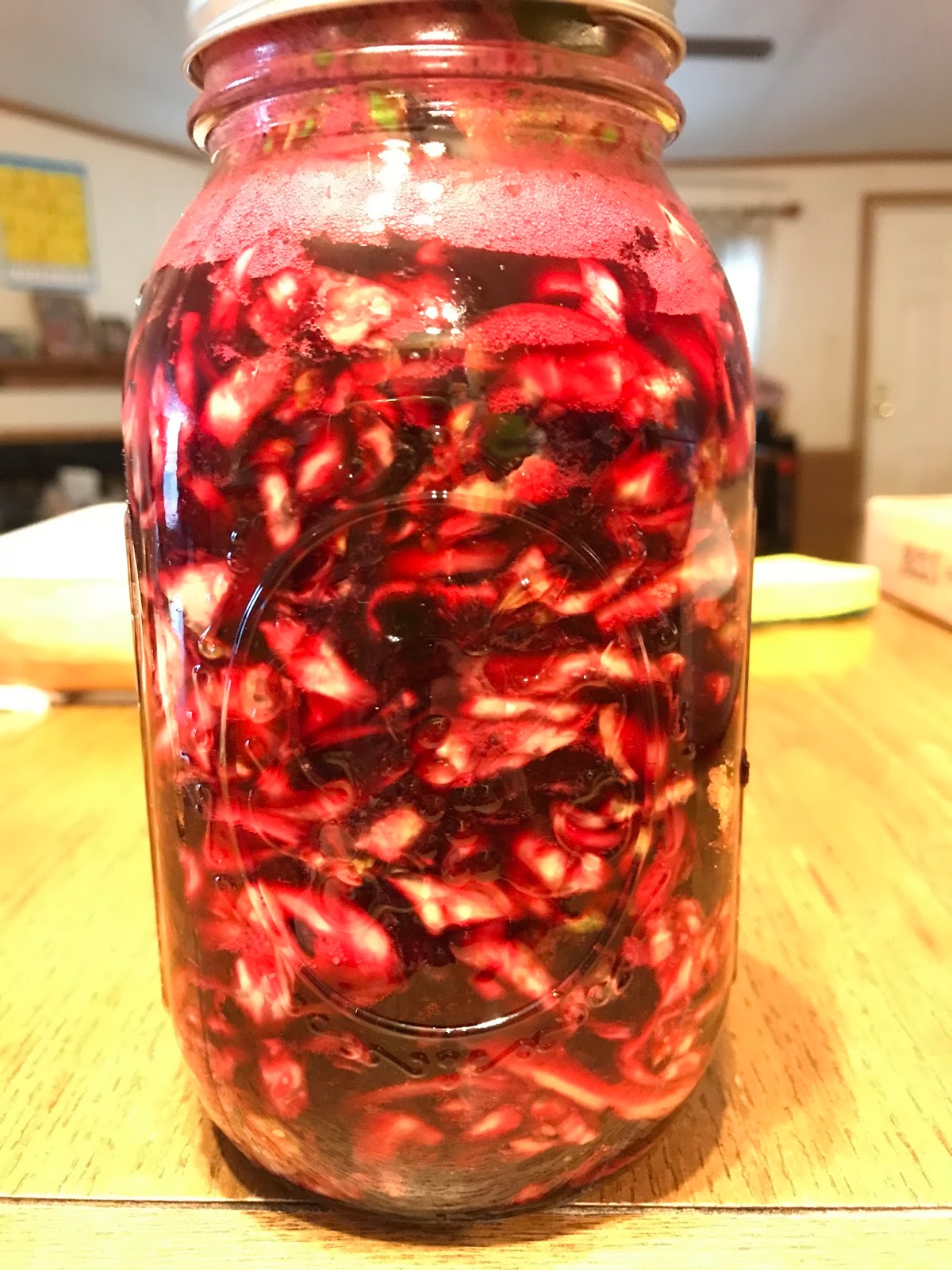 Fermentation Day Beet Sauerkraut