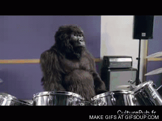 The gorilla drummer