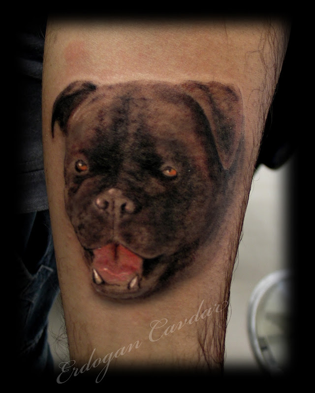 lion tattoo kaplan doevmesi tiger tattoo koepek doevmesi dog tattoo title=