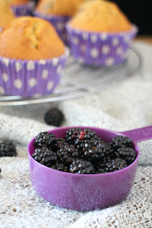 blackberry-muffins, muffins-de-moras-y-limon