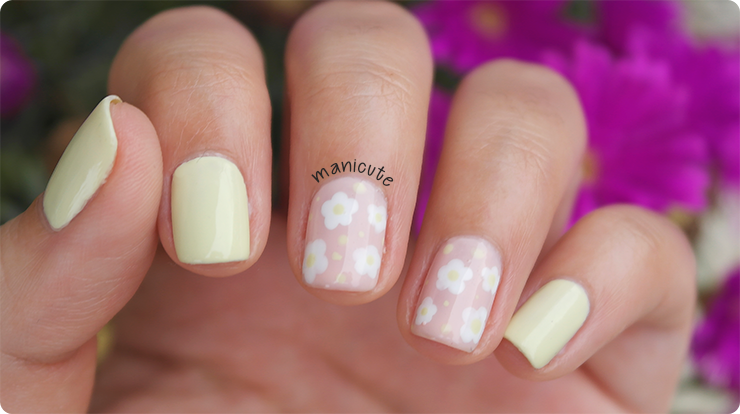 masglo parcera colección boreal