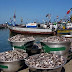 OMG!!! Are traders now selling fake fish on the market? - FDA says it's made of Plastic