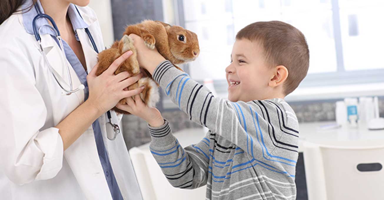 Vetfinity, Inc. Are You Thinking Of Starting A Veterinary Practice?