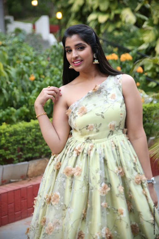 Anchor Shyamala at Naa Peru Surya success meet