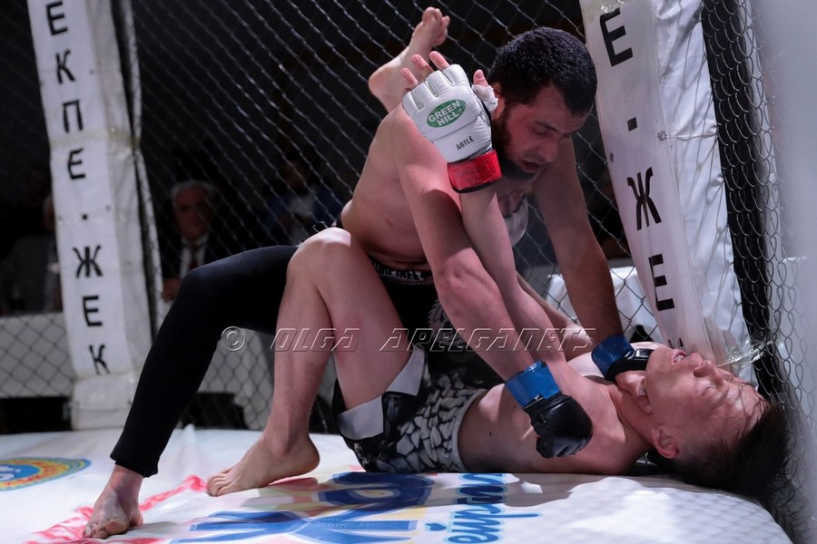 стивенс дзюдо. муай тай боевое искусство. бразильское джиу джитсу грэпплинг. шубин самбист. единоборства схватки.