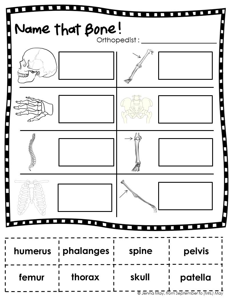 From September to (Mrs.) May No "BONES" About It...We Love Science!